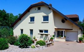 Grosszuegige Helle Ferienwohnung Bis 4 Personen In Chalampe, Elsass